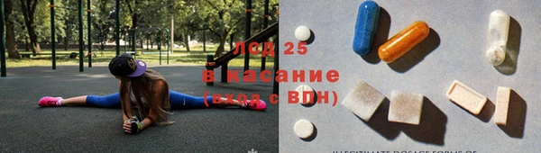 PSILOCYBIN Богданович