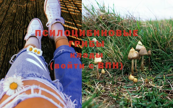 PSILOCYBIN Богданович