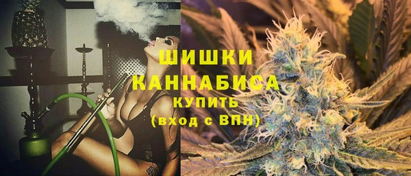 шишки Остров