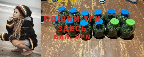 PSILOCYBIN Богданович