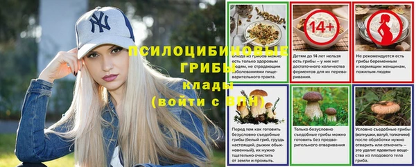 кокс Богородск