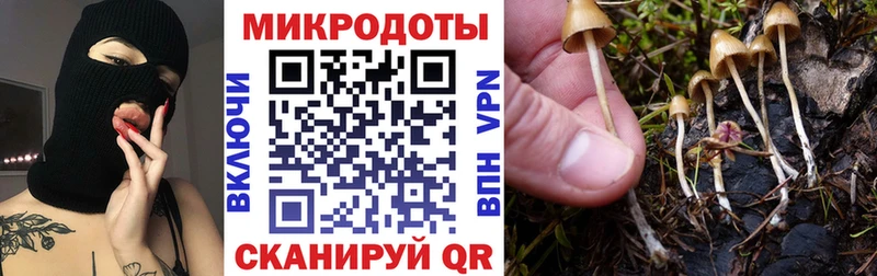 Галлюциногенные грибы мицелий  купить наркотики сайты  blacksprut онион  Коммунар 