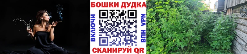 наркошоп  Коммунар  Шишки марихуана планчик 
